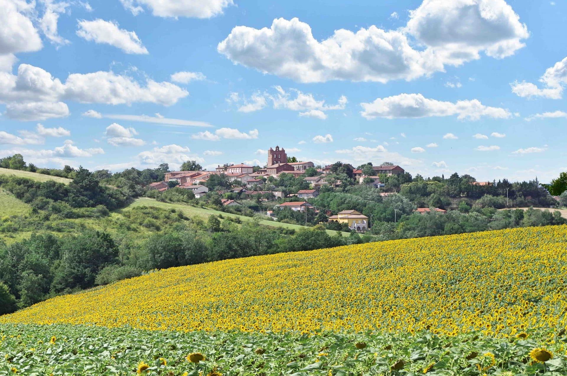Paysage du Lauragais